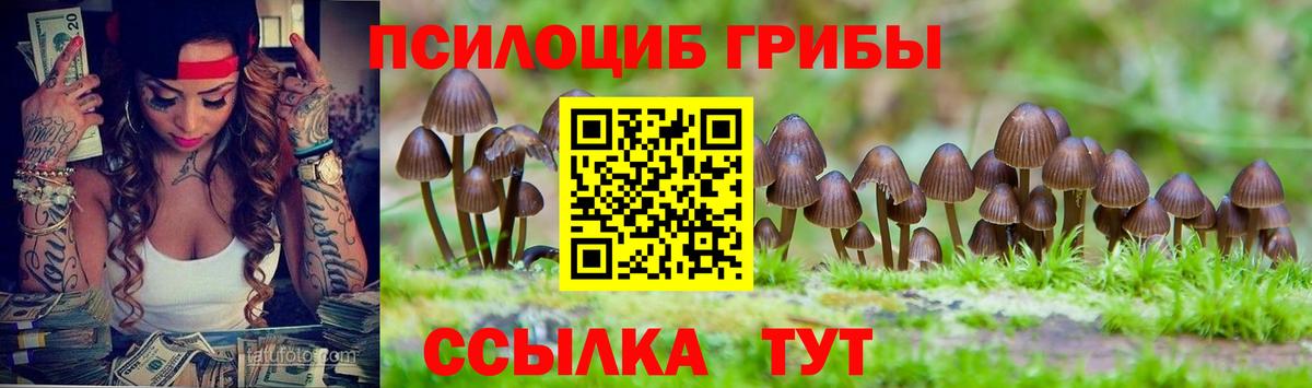 Галлюциногенные грибы прущие грибы  Вход с VPN  сколько стоит  Нурлат 